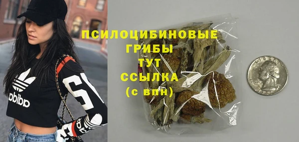 винт Костерёво