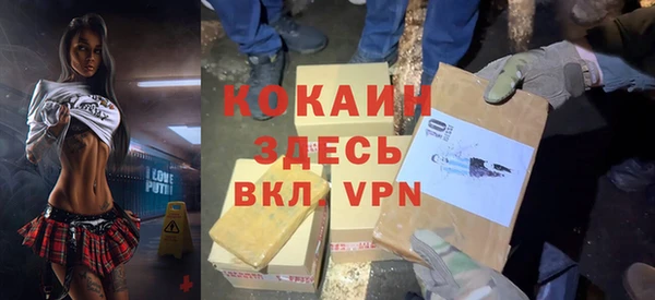винт Костерёво