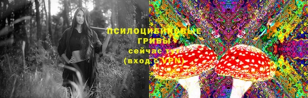 винт Костерёво