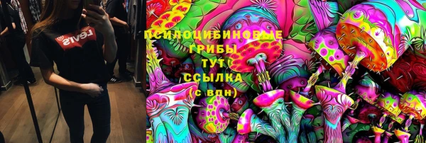 герыч Корсаков