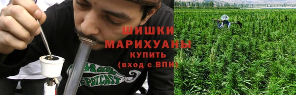 винт Костерёво