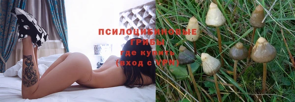 герыч Корсаков