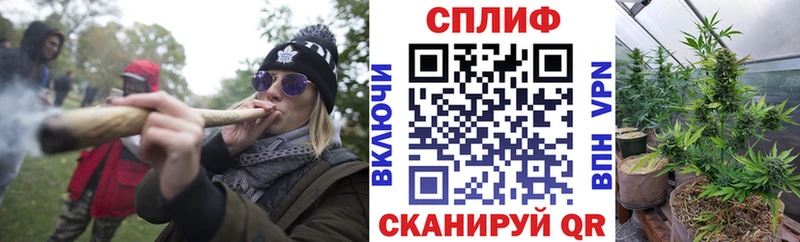 Конопля SATIVA & INDICA  Купить  Салехард 